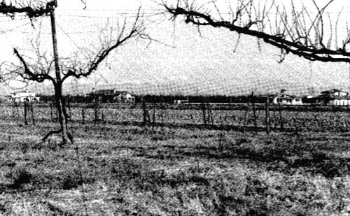 campagna