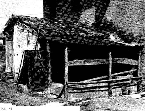El stàgolo